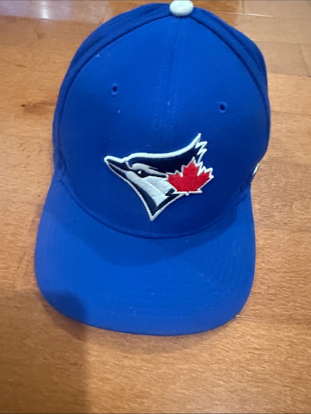 Nike Royal Blue Baseball Cap with Embroidered Blue Jay Logo